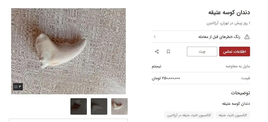 کوسه