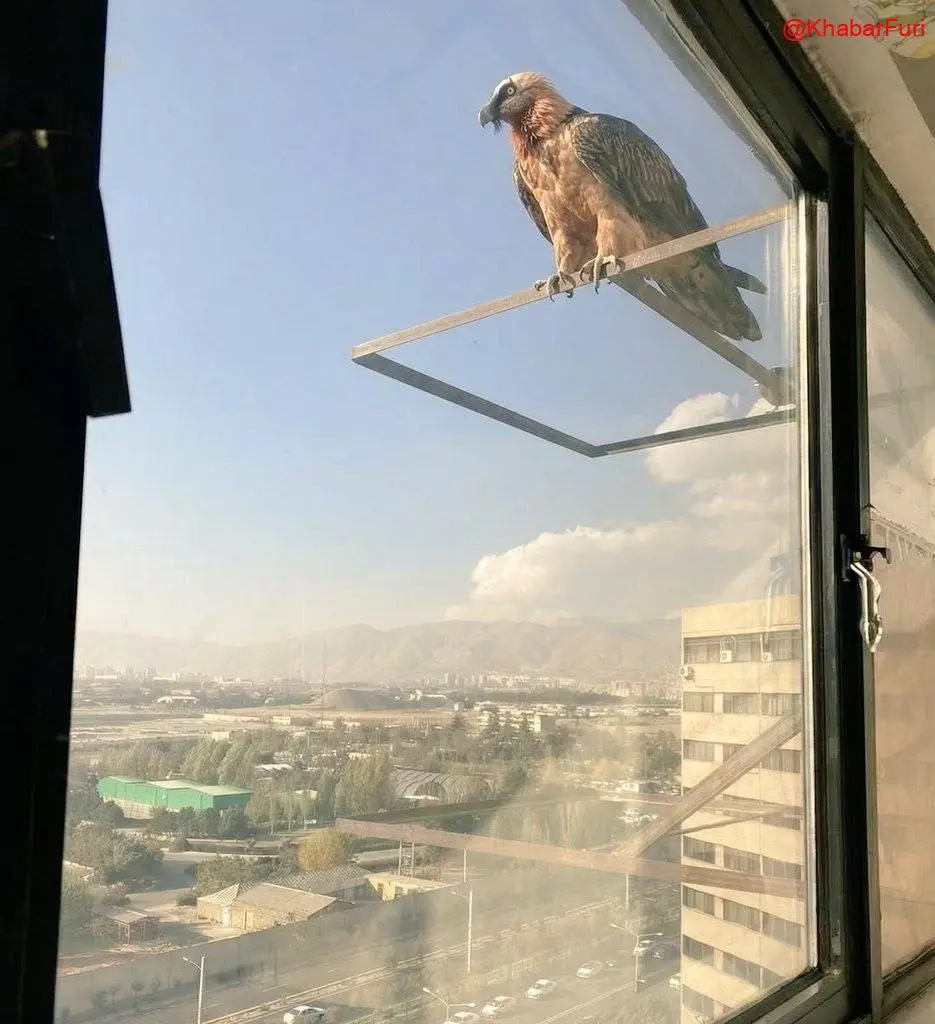 IMG_20251128_200943_929