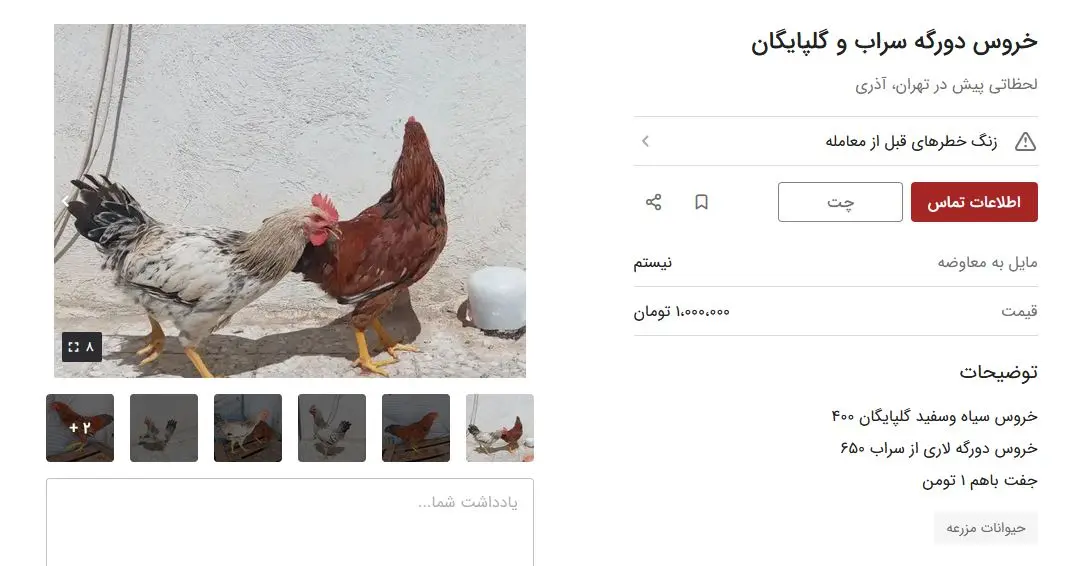 خروس