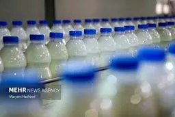 نوری قزلجه: جهاد کشاورزی، پشت پرده گرانی شیر خام؟