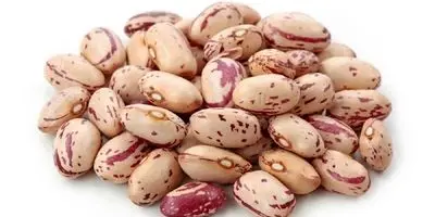 خبر خوش بنکداران به خریداران حبوبات