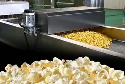 ۱۸۰ تن ذرت حجیم شده در قوچان: فاجعه‌ای پنهان یا معجزه‌ای اقتصادی؟