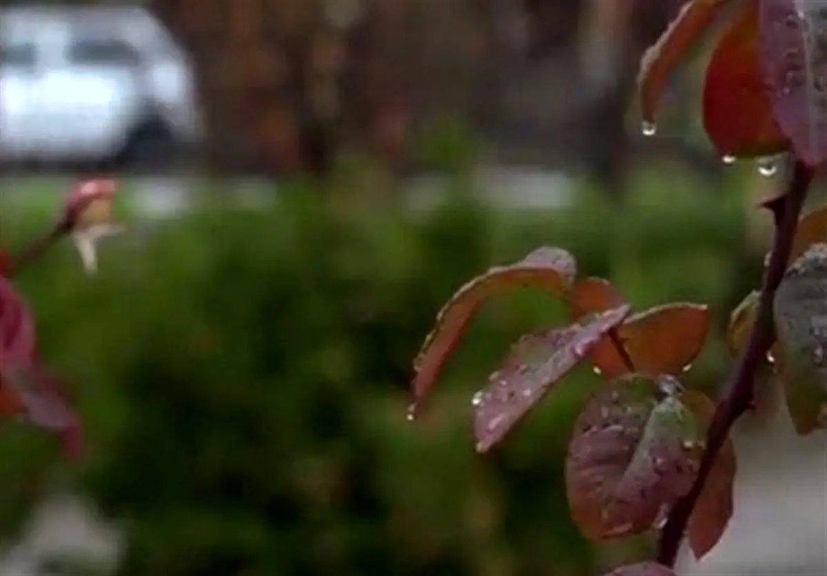 بحران بی‌آبی بیخ گوش پایتخت! تهران ۲۰۰ میلی‌متر باران از دست داد؛ آیا فاجعه در راه است؟