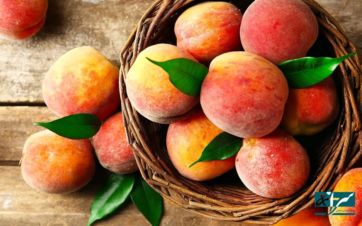 میوه محبوب ایرانی‌ها، زیر تیغ تعرفه‌ای ترامپ