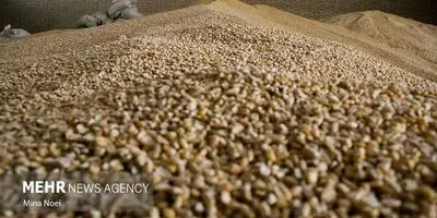 احضار جنجالی معاونان جهاد کشاورزی به بازرسی کل کشور؛ فساد زیر ذرهبین!