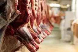 جنگ زرگری گوشت؛ سفره مردم در گرو نزاع واردکنندگان و تولیدکنندگان!