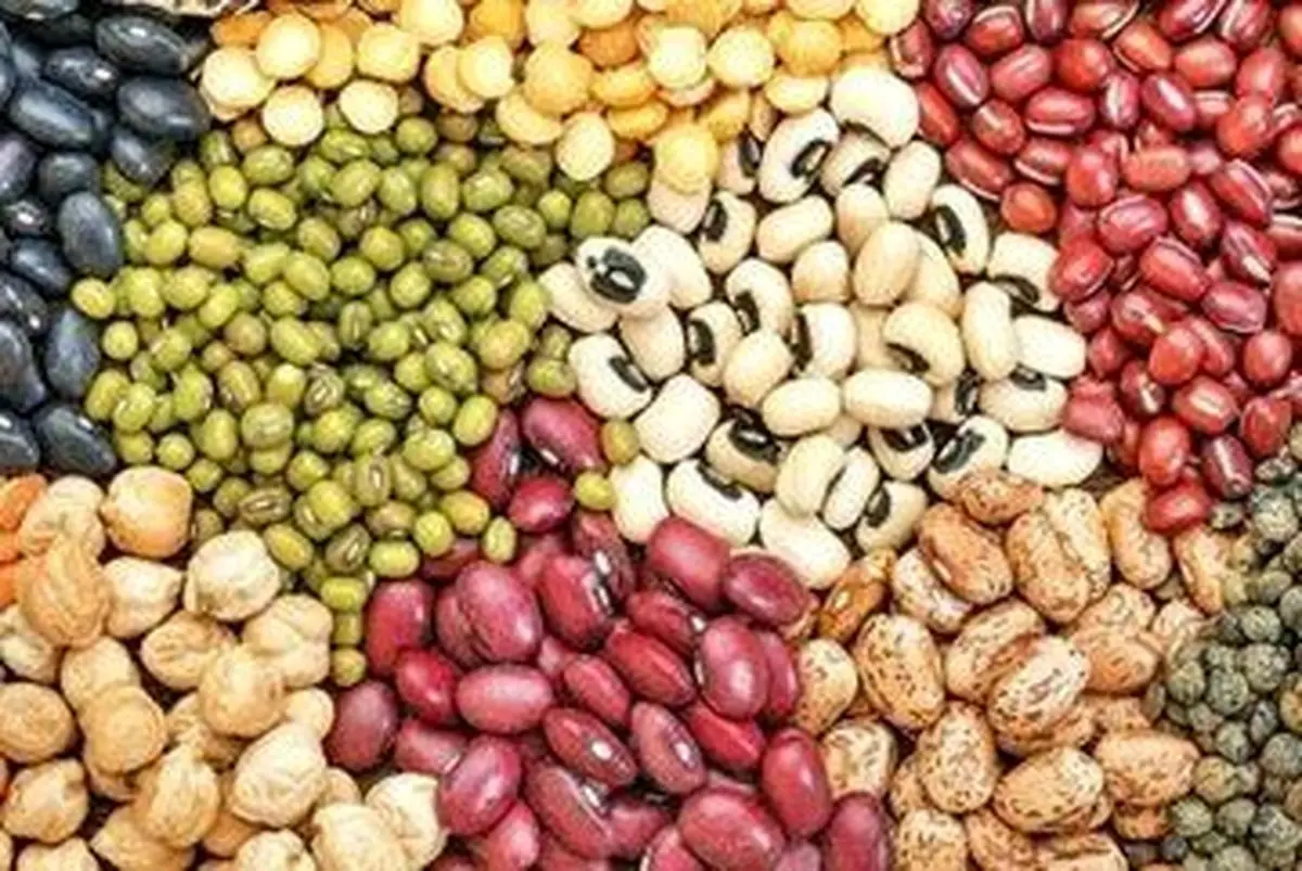 شوکه کننده! کاهش باورنکردنی قیمت لوبیا چیتی: سفره خانوارها نجات پیدا می‌کند؟