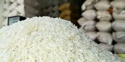 برنج پاکستانی ۶۶ هزار تومانی؛ شوک قیمتی در بازار مواد غذایی