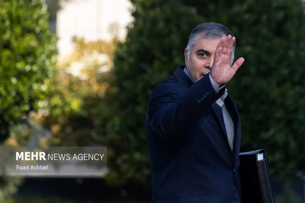 شورای عالی انرژی تشکیل می‌شود؟ ادعای تکان‌دهنده پاک‌نژاد