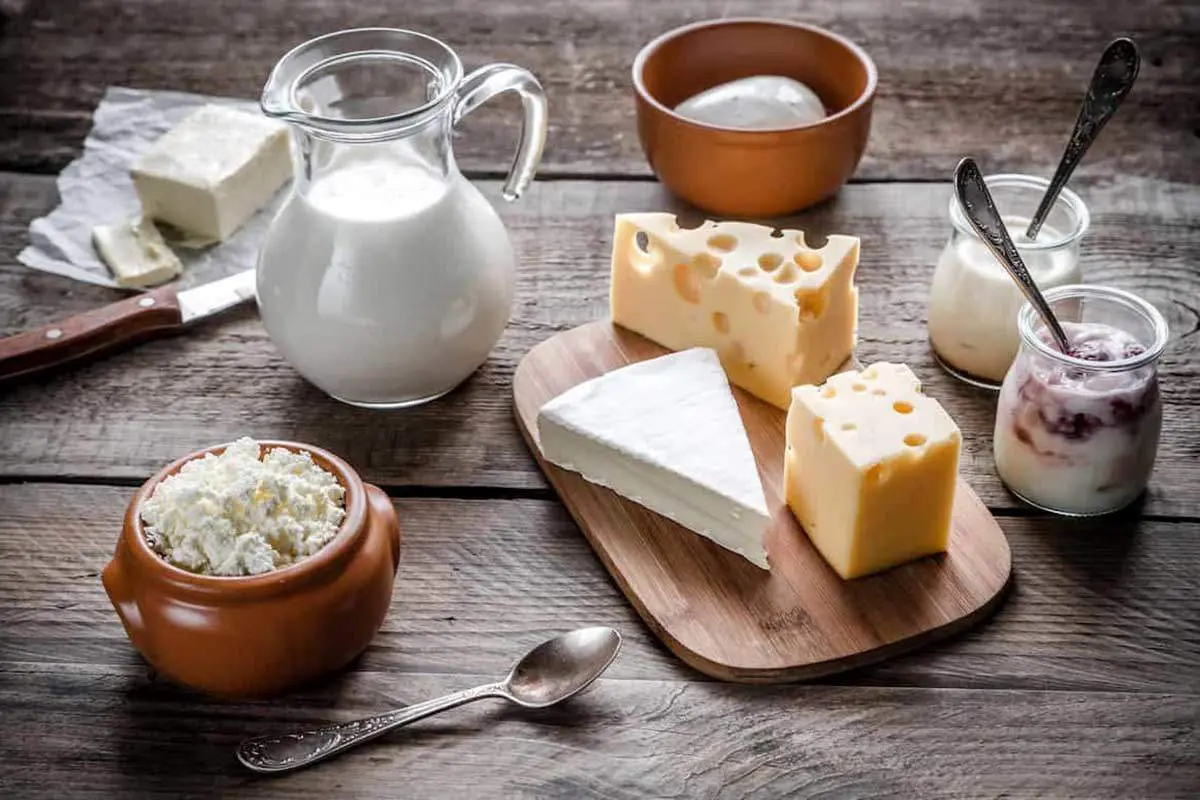 بمب ساعتی لبنیات ترکید!