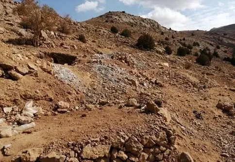 دست عربستان به سمت روسیه دراز شد