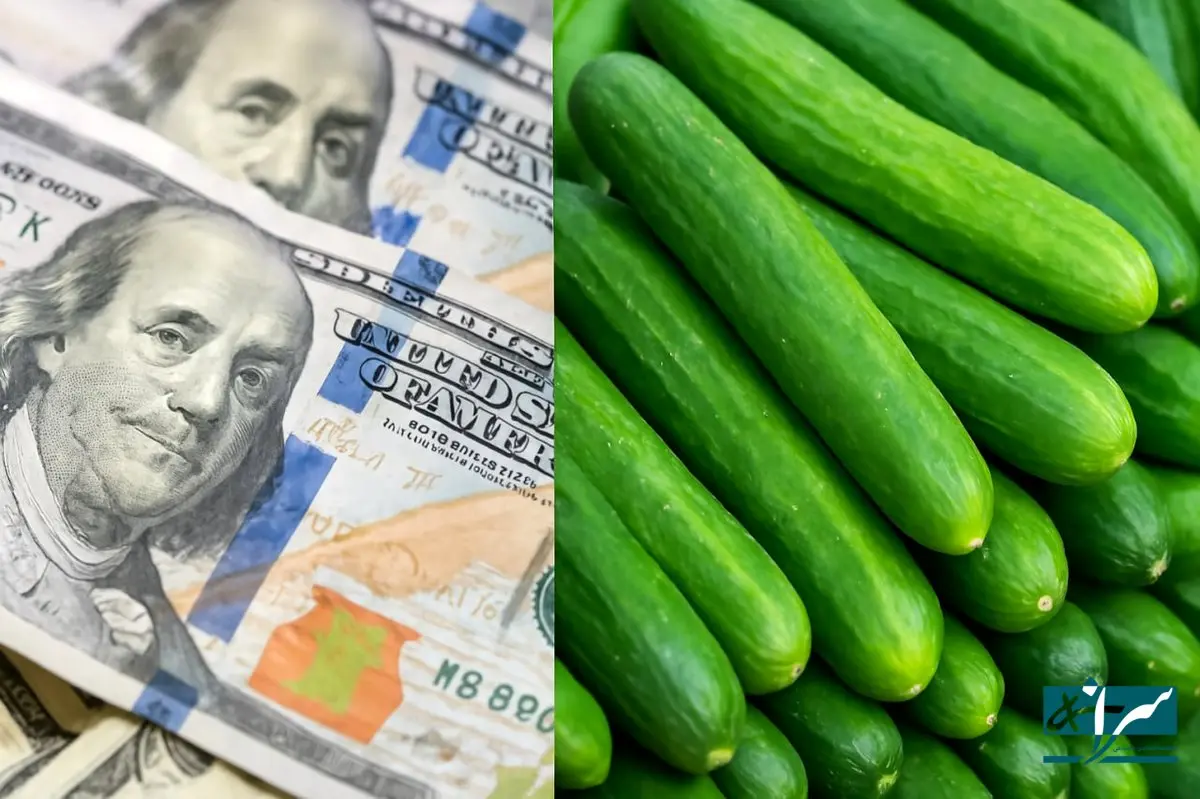 دلار ارزان شد اما خیار نه!