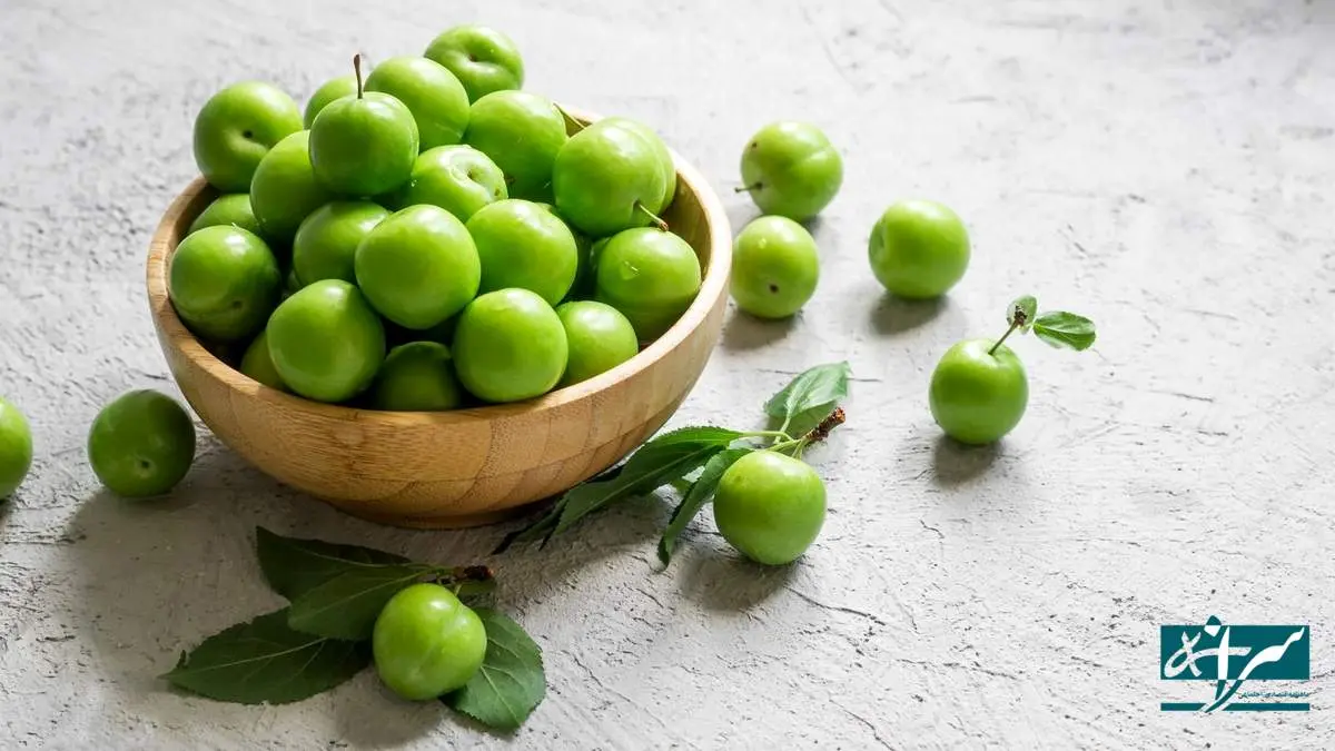قیمت جدید گوجه سبز اعلام شد – ۲۰ فروردین ۱۴۰۴