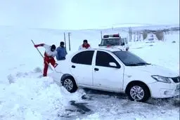 هشدار جدی: برف ۴ استان را قفل کرد؛ فریب تردد روان شمال را نخورید!