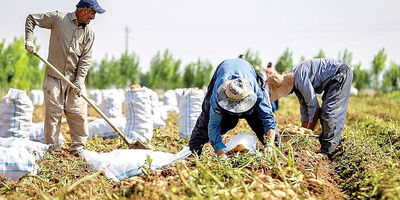 پشت پرده دست رد روسیه به محصول ایران