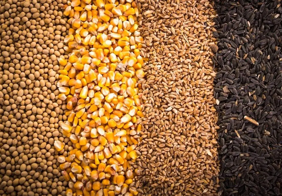 فاجعه در راه است؟ ۵.۵ میلیون تن نهاده دامی در آستانه ورود! 