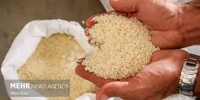 افشاگری تکان‌دهنده عیسی کلانتری: خطای آماری برخی وزرا، دولت را به مرز بحران کشاند!