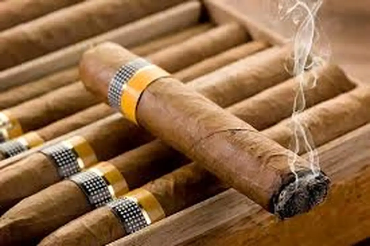 افزایش مصرف دخانیات در میان دختران ۱۸ تا ۲۵ سال