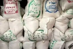برنج شمال پر کشید؟ افزایش سرسام‌آور قیمت طارم ایرانی به ۱۵۴ هزار تومان!