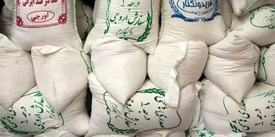 افشاگری تکان‌دهنده: برنج طارم ایرانی ۷ برابر شد! سفره مردم در خطر؟