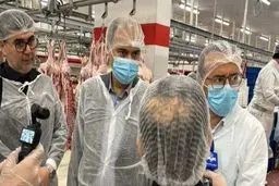 جنجال واردات گوشت: ارز ۴۲۰۰ تومان در راه است؟