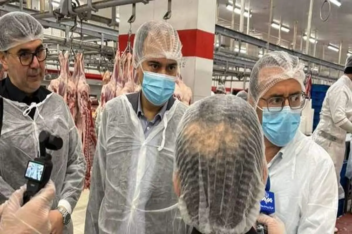 جنجال واردات گوشت: ارز ۴۲۰۰ تومان در راه است؟