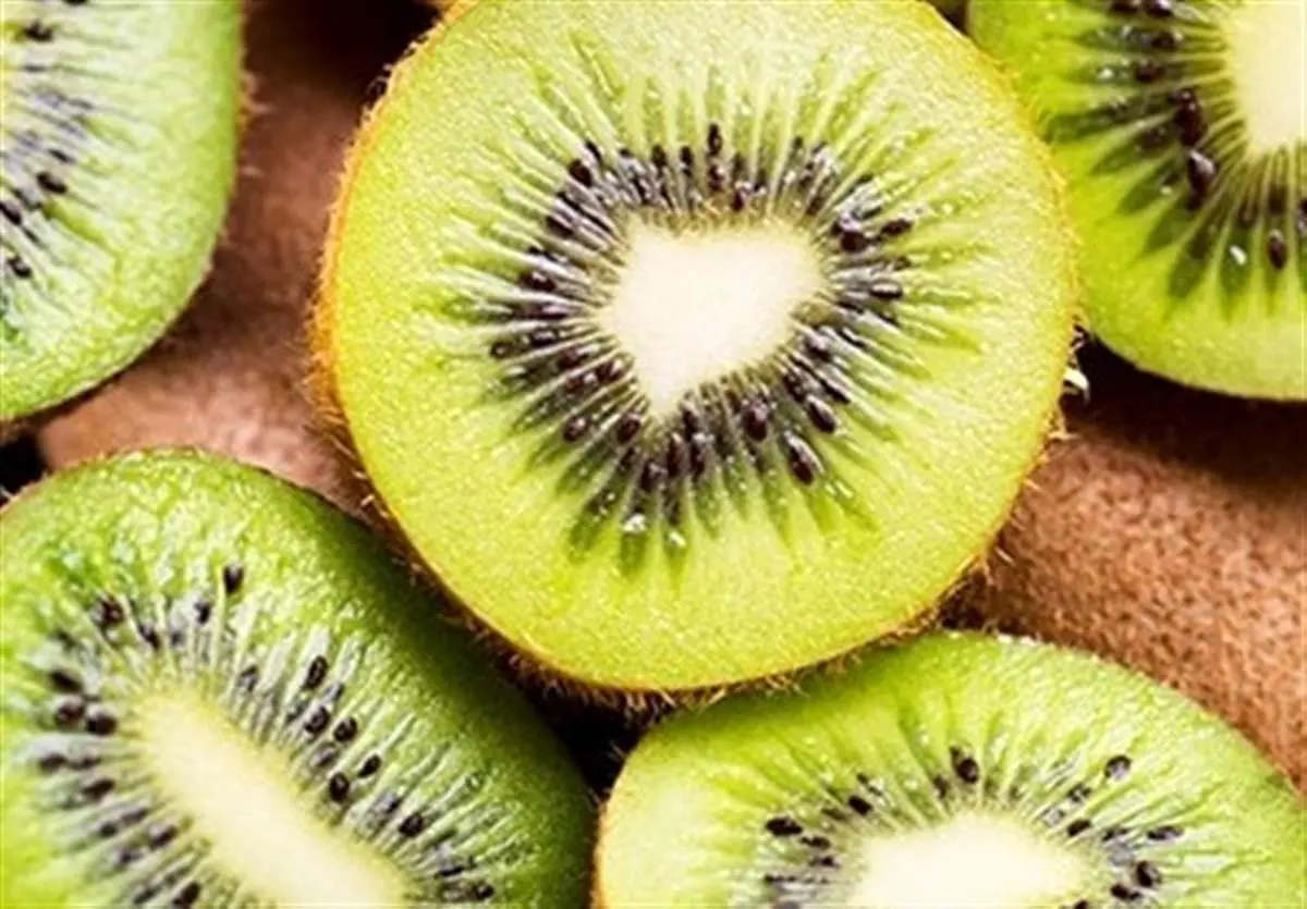 کیوی ایران بازارهای هند و اوراسیا را تسخیر کرد: شوک اقتصادی به رقبای جهانی