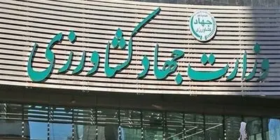 قیمت تخم مرغ منفجر شد: هر شانه چقدر آب می‌خورد؟