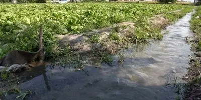 اقلیم در حال دگرگونی: دومینوی وحشتناک تورم غذا و گسترش فقر!