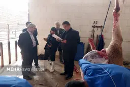 دادستان سمنان به کشتارگاه قومس اولتیماتوم داد: یک ماه برای اصلاح یا تعطیلی!