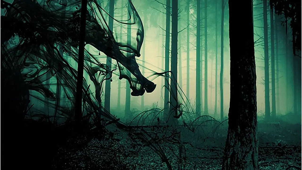 منشأ واقعی صدای جیغ در جنگل جن مشهد