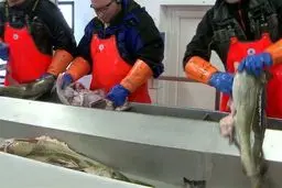 افشاگری جنجالی: بسته‌بندی‌های ضدباکتری مواد غذایی؛ بمب ساعتی در صنعت یا راه نجات؟