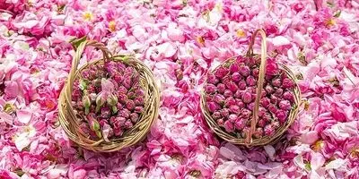 تهران شاه ساسانی را به چالش کشید! 