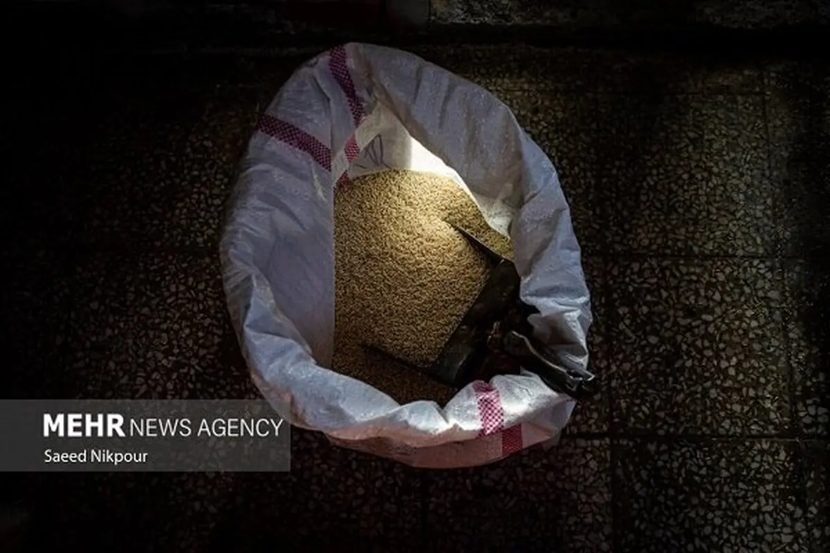 شوکه کننده: ایران غرق در برنج هندی شد! واردات دو برابر شد، سفره‌هایتان را چک کنید!