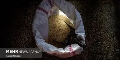 انقلاب در صنعت خودرو: قطعات خودرو با شرط و شروط ترخیص شد!