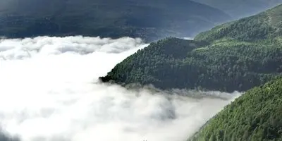 یک حادثه تلخ / دانشجوی یزدی ضربه مغزی شد