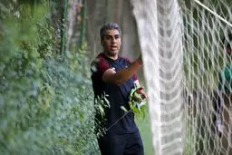 افشاگری تکان دهنده در تراکتور: سرنوشت بیرانوند در دستان غبیشاوی؛ مربی جدید چه کسی است؟