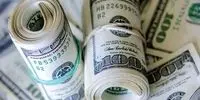 دلار در صرافی ملی به کدام سو می‌رود؟ پیش‌بینی سقوط یا پرواز در ۸ آذر ۱۴۰۴!