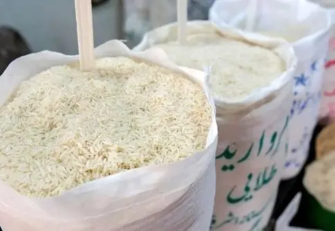 فوری: سفره ایرانی خالی شد، برنج پاکستانی یکه‌تاز میدان! / هشدار دبیر واردکنندگان: دولت ارز ندهد، سونامی قیمت‌ها در راه است!