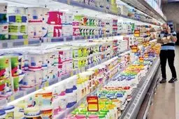 لبنیات دو بار گران شد: شوک قیمتی در راه سفره مردم!