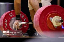 کشف بزرگ: ۵۵۰۰ متر زمین آزادی در دام فدراسیون وزنه‌برداری!