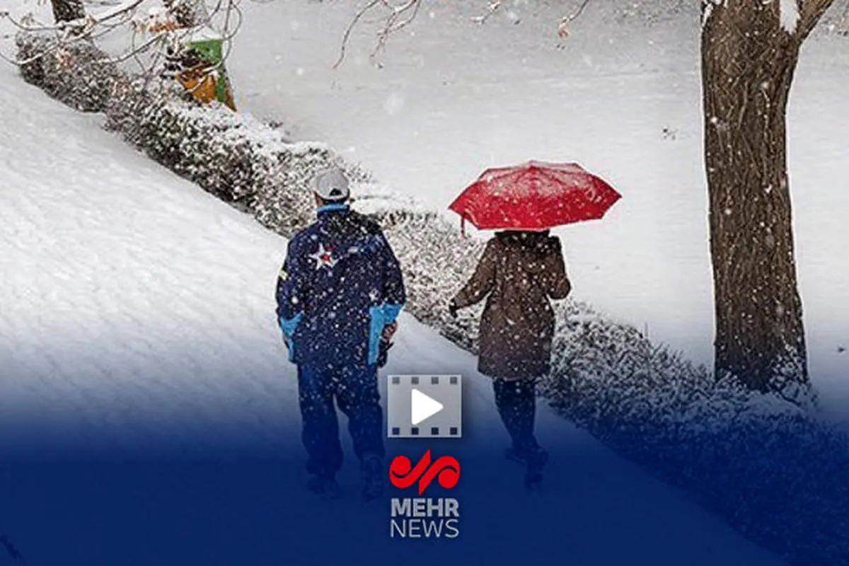 نفت در زمستان غافلگیر می‌شود؟ طرح سری مدیرعامل شرکت ملی نفت فاش شد