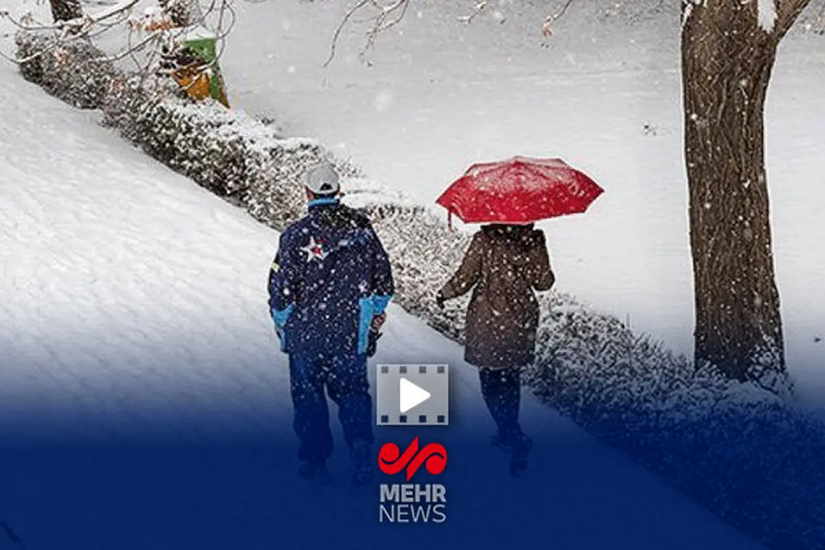 نفت در زمستان غافلگیر می‌شود؟ طرح سری مدیرعامل شرکت ملی نفت فاش شد