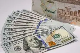 شوکِ پاپی‌زاده: ۱۲.۵ میلیارد دلار ارز دولتی در جیب 'محدودها'!/ وعده: سال بعد مستقیم به مردم؟