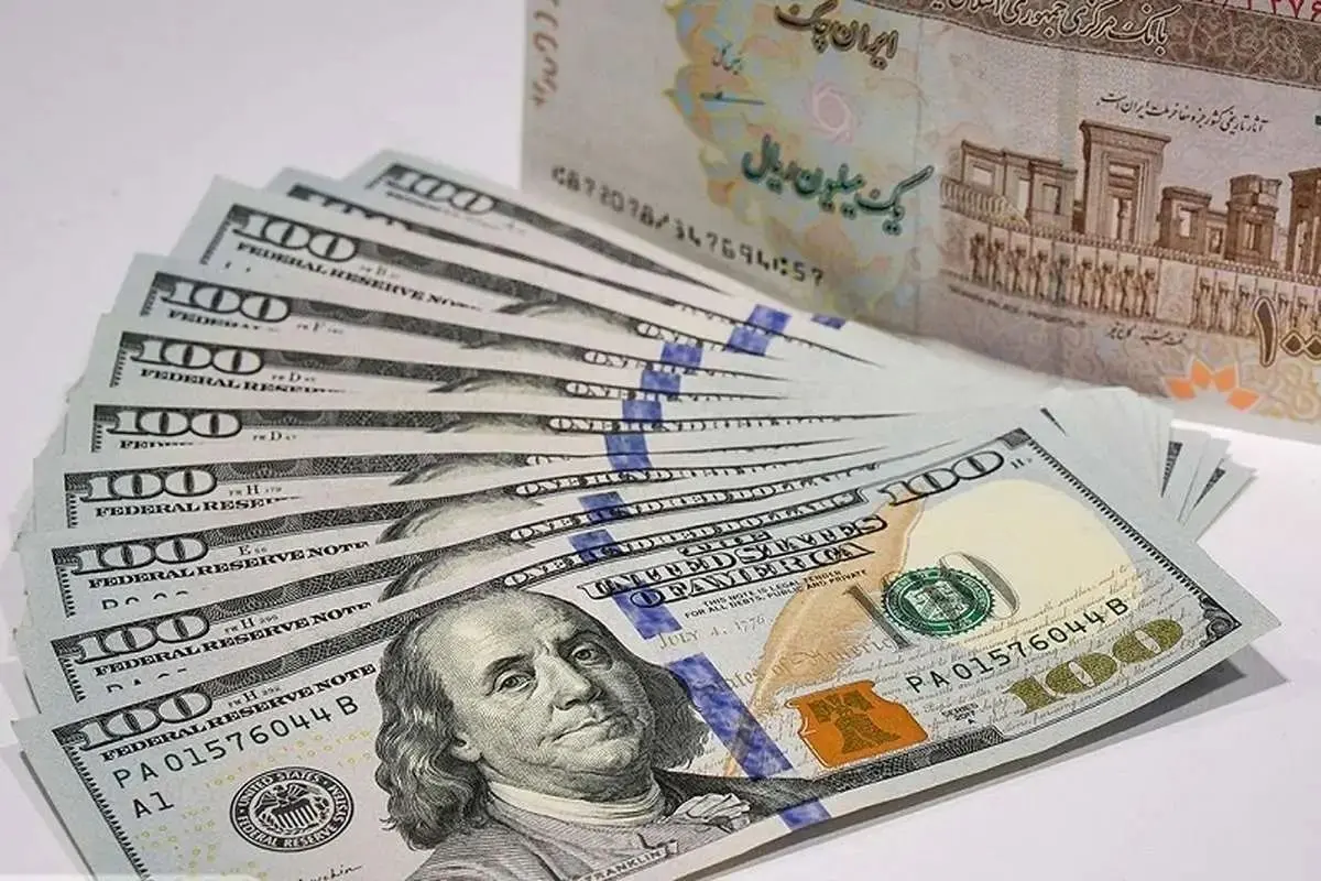 شوکِ پاپی‌زاده: ۱۲.۵ میلیارد دلار ارز دولتی در جیب 'محدودها'!/ وعده: سال بعد مستقیم به مردم؟