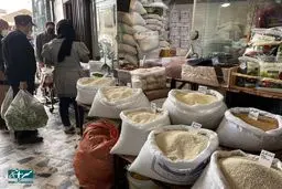 واردات برنج این نماینده مجلس را حسابی شاکی کرد!