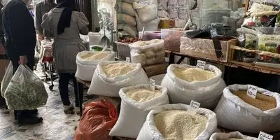 برنج ایرانی ارزان شد / هر کیلوگرم ۲۱۰ تا ۲۲۰ هزار تومان