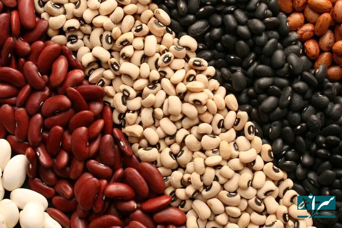 پرفروش‌ترین کالاهای طرح کالابرگ اعلام شد