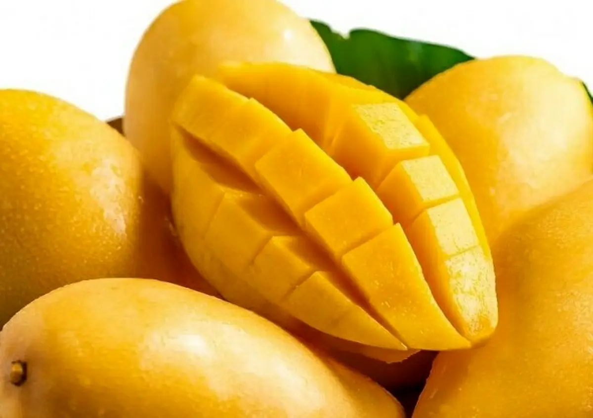 افشاگری: انبه‌های کنیا در راه بازار ایران! دولت اجازه داد!