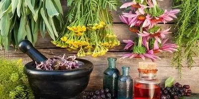 فاجعه اقتصادی در راه است؟ چابهار ۷۰ درصد تن ماهی کشور را تصاحب کرد!